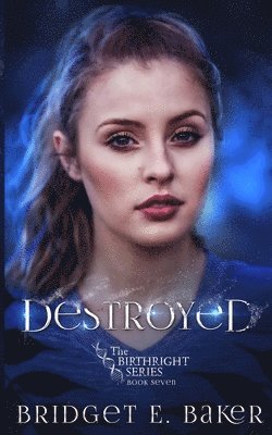 Bridget E Baker, Bridget E. Baker, E. Baker, Bridget - Destroyed, Häftad
