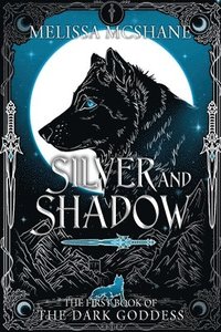bokomslag Silver and Shadow