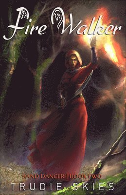 bokomslag Fire Walker: Book 2