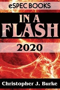 bokomslag In a Flash 2020