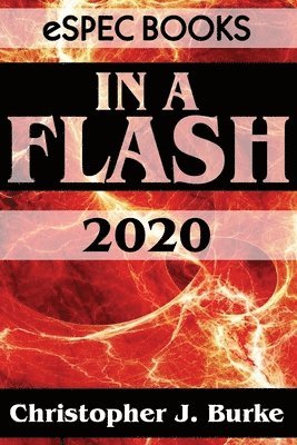 Christopher J Burke - In a Flash 2020, Häftad