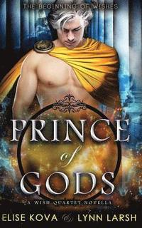 bokomslag Prince of Gods