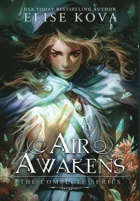 bokomslag Air Awakens