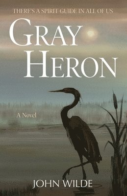 Gray Heron 1