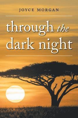 Through The Dark Night 1