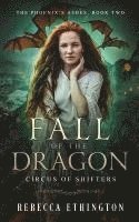 bokomslag Fall of the Dragon: A Paranormal Romance