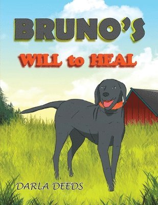 Darla Deeds - Bruno's Will to Heal, Häftad