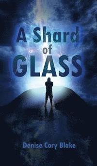 bokomslag Shard of Glass