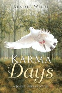 bokomslag Karma Days