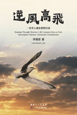 逆风高飞