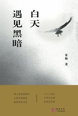 白天遇见黑暗