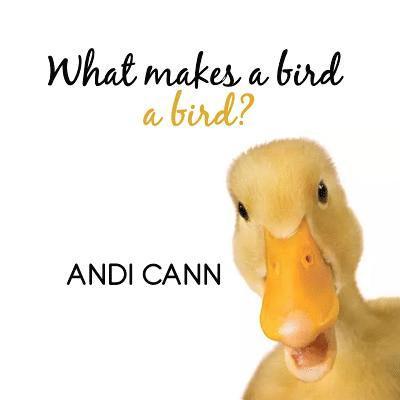 What Makes a Bird a Bird? 1