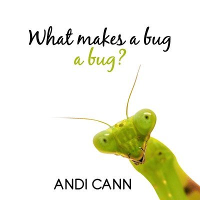 What Makes a Bug a Bug? 1