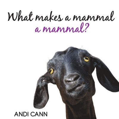 What Makes a Mammal a Mammal? 1