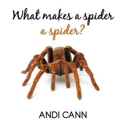 What Makes a Spider a Spider 1