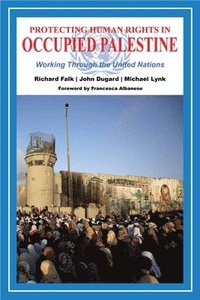 bokomslag Protecting Human Rights in Occupied Palestine: Working Through the United Nations