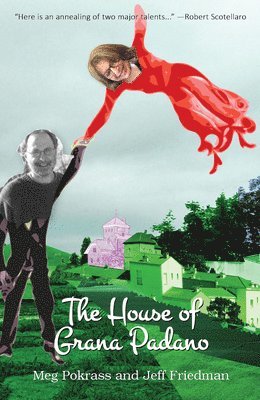 Meg Pokrass, Jeff Friedman - House of Grana Padano, Häftad