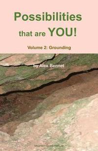 bokomslag Possibilities that are YOU!: Volume 2: Grounding