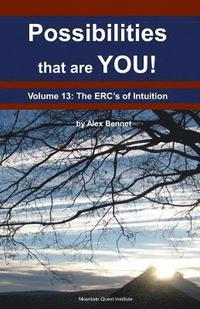 bokomslag Possibilities that are YOU!: Volume 13: The ERCs of Intuition