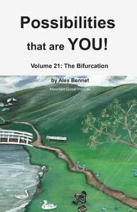bokomslag Possibilities that are YOU!: Volume 21: The Bifurcation