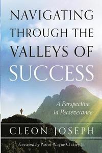 bokomslag Navigating Through The Valleys Of Success: A Perspective In Perseverance