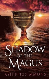 bokomslag Shadow of the Magus
