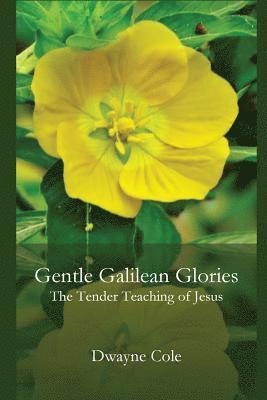 Gentle Galilean Glories 1