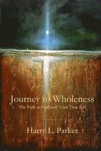 bokomslag Journey to Wholeness