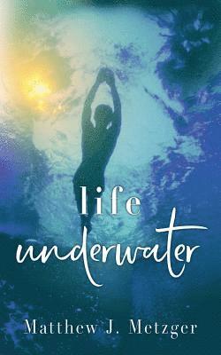 Matthew J Metzger, Matthew J. Metzger, Matthew J., Metzger - Life Underwater, Häftad
