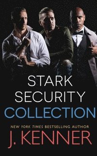 bokomslag Stark Security