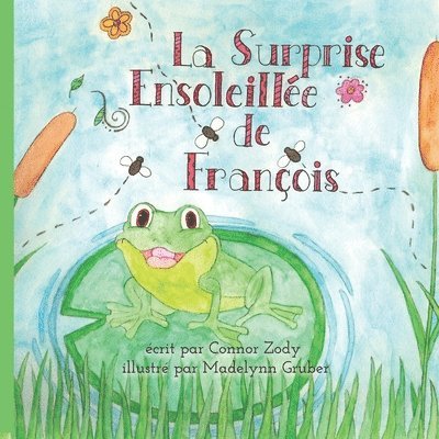La Surprise Ensoleillée de François: François's Sunny Surprise 1