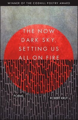 Robert Krut - Now Dark Sky, Setting Us All On Fire, Häftad