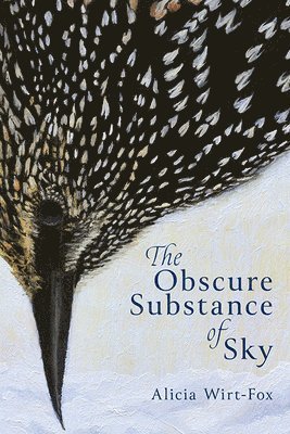 bokomslag The Obscure Substance of Sky