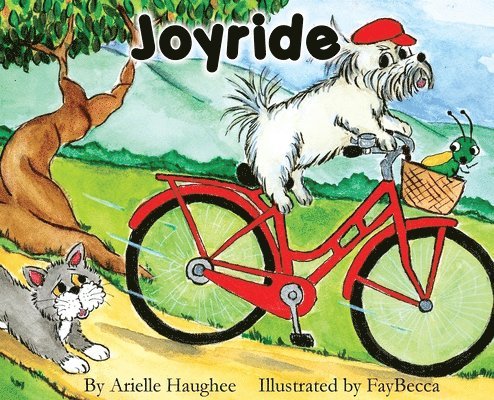 Joyride 1