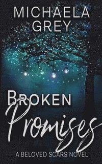 bokomslag Broken Promises