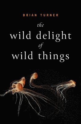 The Wild Delight of Wild Things 1