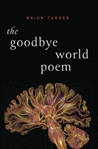 bokomslag The Goodbye World Poem