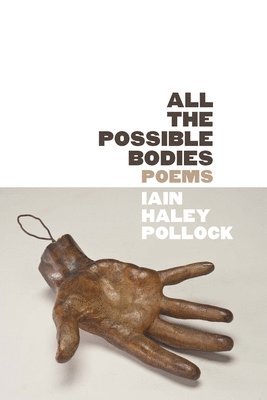 Iain Haley Pollock - All the Possible Bodies, Häftad