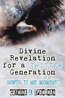 bokomslag Divine Revelation for a Twitter Generation