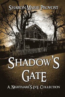 bokomslag Shadow's Gate