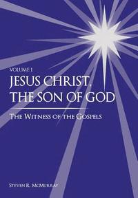 bokomslag Jesus Christ, the Son of God, the Witness of the Gospels