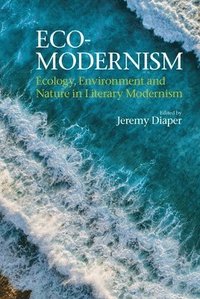 bokomslag Eco-Modernism