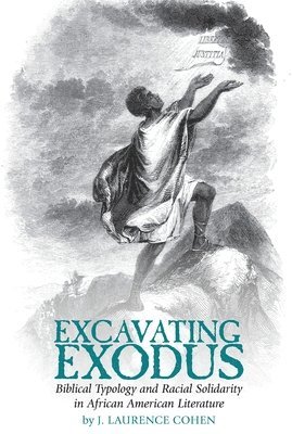 bokomslag Excavating Exodus