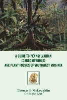 bokomslag A Guide to Pennsylvanian (Carboniferous) Age Plant Fossils of Southwest Virginia