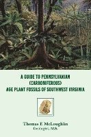A Guide to Pennsylvanian (Carboniferous) Age Plant Fossils of Southwest Virginia