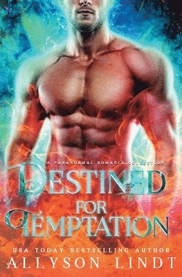 Allyson Lindt - Destined for Temptation, Häftad