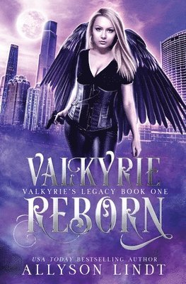bokomslag Valkyrie Reborn