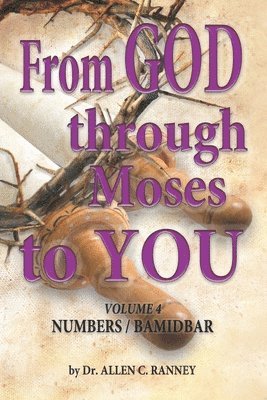 bokomslag From GOD through Moses to YOU: Volume 4 NUMBERS / BAMIDBAR