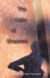 bokomslag The Color of Shadows