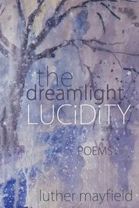 bokomslag The Dreamlight Lucidity